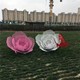 圖片_20200328134851.jpg