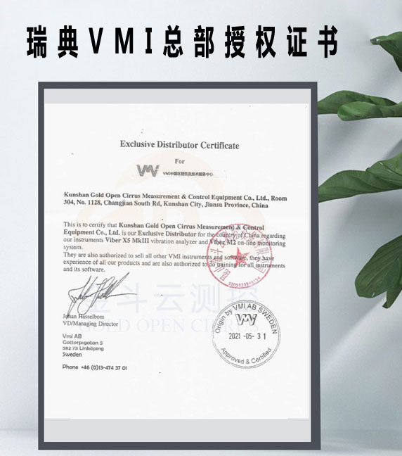 VMI总部授权证书.jpg