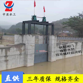 中亞水電站閘門潛孔式鋼閘門雙向鑄鐵鑲銅廣西鑄鐵閘門堅固