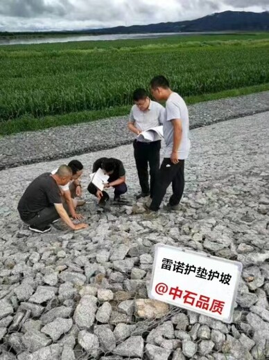 620.3雷諾護(hù)墊多少錢一個(gè)（可現(xiàn)貨立發(fā)）