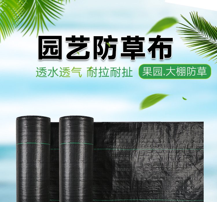 u=312756080&fm=199&app=68&f=JPEG.jpg