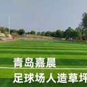 五人制七人制十一人制足球場(chǎng)人造草坪新價(jià)格