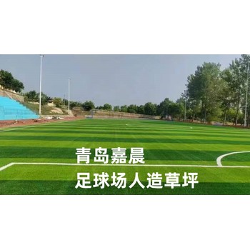 五人制七人制十一人制足球場人造草坪新價格