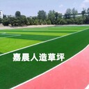 青島人造草坪_幼兒園草坪_學(xué)校跑道草坪_足球場草皮