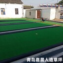 人造草坪門球場(chǎng)的施工方案實(shí)例圖，青島門球場(chǎng)人造草坪