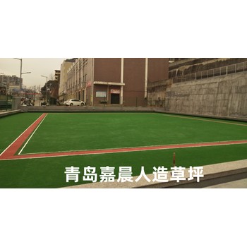 江西門球場人造草坪，門球場人工草坪，門球場人工草皮