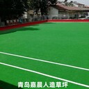 江西門(mén)球場(chǎng)人造草坪，門(mén)球場(chǎng)人工草坪，門(mén)球場(chǎng)人工草皮