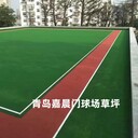 門(mén)球場(chǎng)人造草坪門(mén)球場(chǎng)人工草坪門(mén)球場(chǎng)仿真草坪