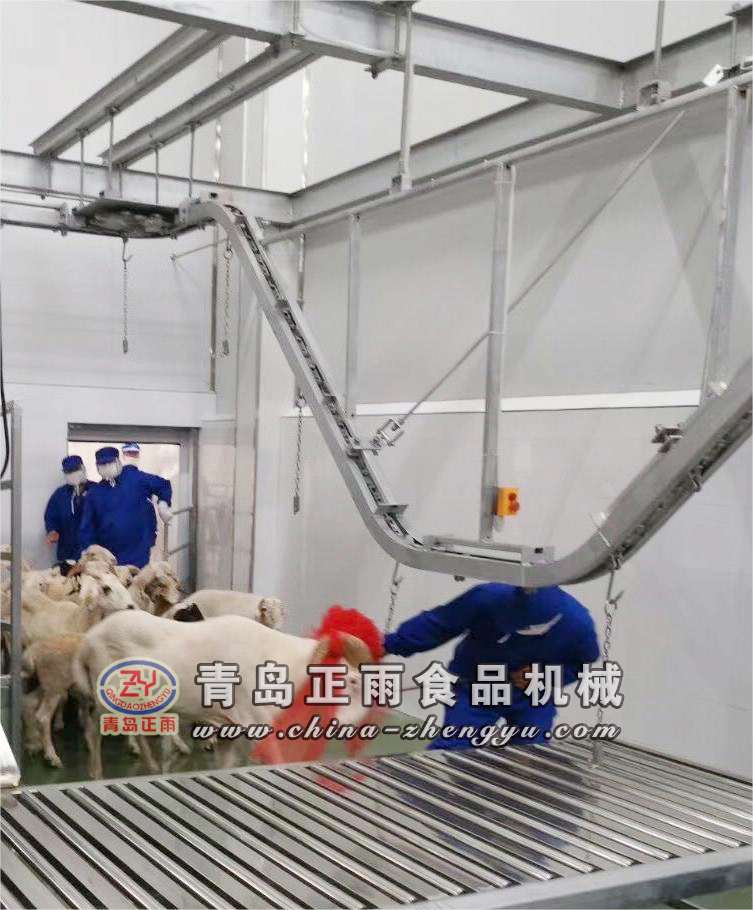 羊屠宰放血線_副本.jpg
