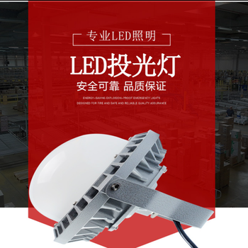 FGV6207LED免維護節(jié)能燈三防燈防水防腐燈
