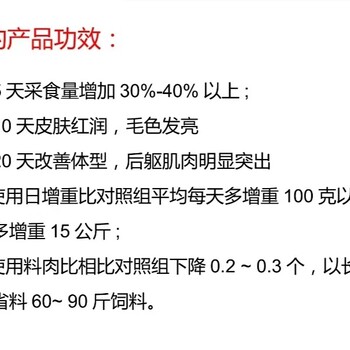 上饶猪场使用众羿安队长催肥剂催肥增重吨料成本15每头多增重30斤