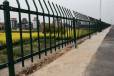 绿化带隔离栅栏公园绿化带围栏锌钢围栏网