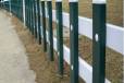 成都PVC草坪围栏栅栏生产厂家PVC塑钢围栏公园绿化带围栏