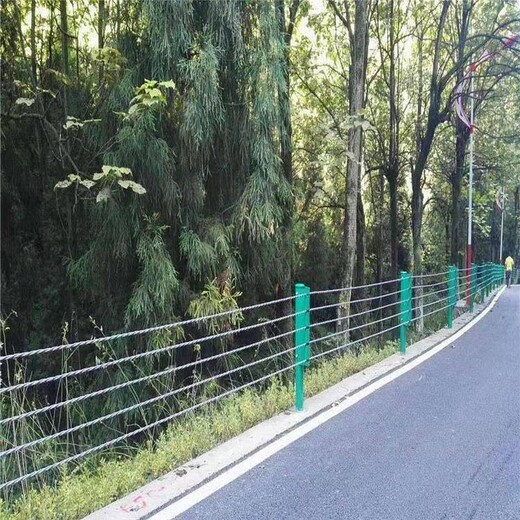 景區(qū)纜索護欄四川制造廠家鋼絲繩索道圍欄公路纜索護欄