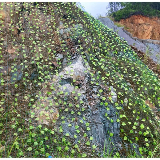 山體綠化樹葉網(wǎng)偽裝荷蘭網(wǎng)邊坡防護(hù)綠葉鐵絲網(wǎng)成都現(xiàn)貨銷售廠家