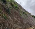四川边坡防护网施工安装厂家山体护坡网钢丝绳网