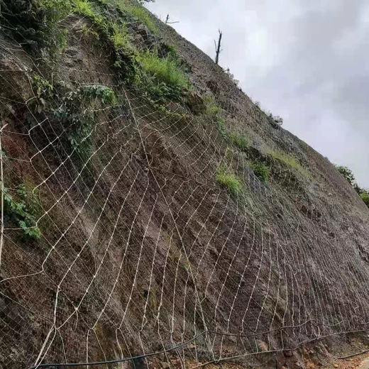 四川防落石主動(dòng)邊坡防護(hù)網(wǎng)生產(chǎn)工廠柔性護(hù)坡網(wǎng)鋼絲繩防護(hù)網(wǎng)