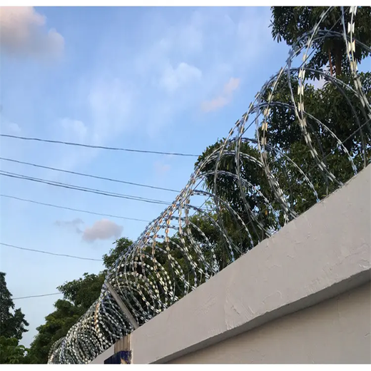 304不銹鋼圍墻防盜刺網(wǎng)雙螺旋刀片刺網(wǎng)防攀爬刺絲滾籠