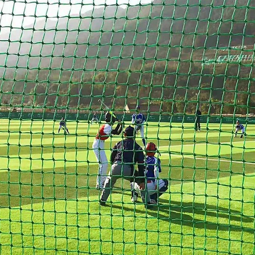 樓頂藍球場頂網(wǎng)圍網(wǎng)聚乙烯尼龍圍網(wǎng)屋頂籠式球場防護網(wǎng)