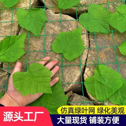 山體偽裝綠葉網(wǎng)樹葉荷蘭網(wǎng)大葉偽裝網(wǎng)波浪形荷蘭網(wǎng)