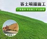 四川邊坡綠化客土噴播施工團隊施工廠家銷售植草勾花網