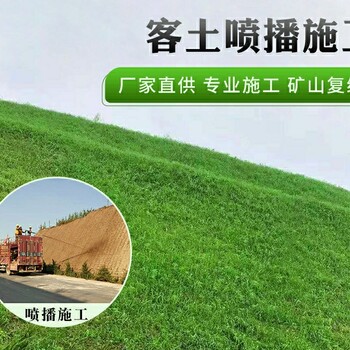 四川邊坡植草施工團隊客土噴播荒山綠化施工山體掛網(wǎng)邊坡噴草