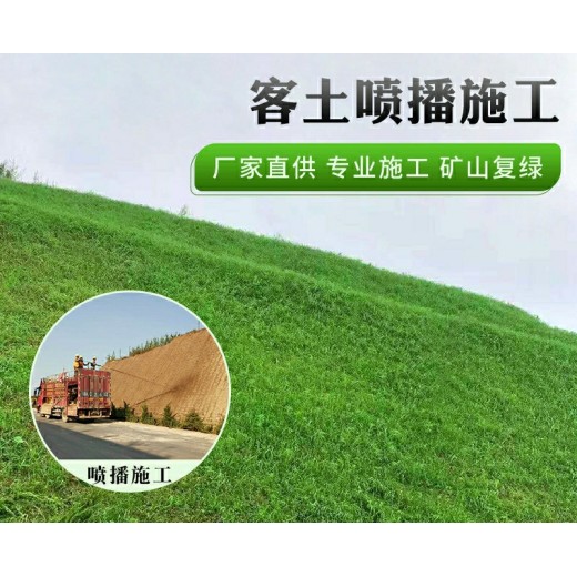四川边坡绿化客土喷播施工团队施工厂家销售植草勾花网