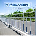 重慶市政交通護(hù)欄實(shí)體廠家馬路移動(dòng)護(hù)欄人車分離機(jī)非護(hù)欄