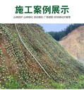 荒山復綠樹葉荷蘭網綠葉網邊坡覆蓋綠葉鐵絲網樹葉偽裝網