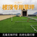 樓頂裝飾仿真草坪施工學(xué)校運(yùn)動場人造草坪操場假草皮塑料草坪