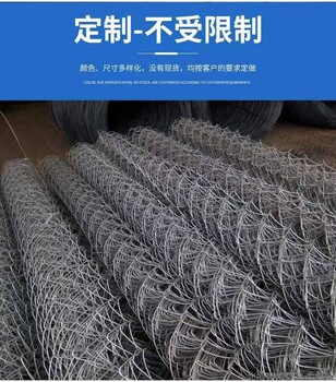 客土噴播鍍鋅勾花網(wǎng)六角鐵絲網(wǎng)荒山復(fù)綠金屬網(wǎng)勾花圍網(wǎng)