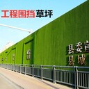 成都現貨銷售工地圍擋假草坪學校體育場人造草坪裝飾用仿真草坪