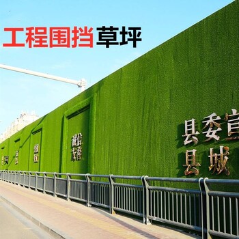 成都現(xiàn)貨銷售工地圍擋假草坪學校體育場人造草坪裝飾用仿真草坪