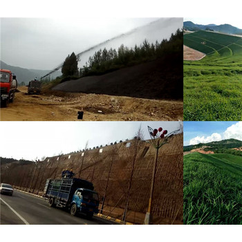 重庆边坡植草客土喷播山坡绿化荒山复绿施工厂家