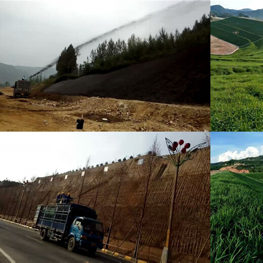 重庆边坡植草客土喷播山坡绿化荒山复绿施工厂家