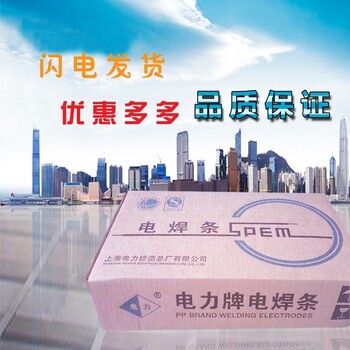 上海電力PP-TIG50-4C碳鋼鎢極氬弧焊絲耐磨焊絲