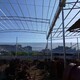 圖片_202310220117432.jpg