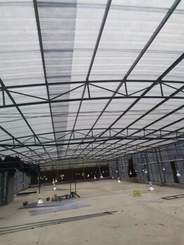 供應揭陽搭鋼架大棚工程每畝造價