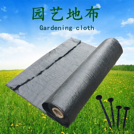 pp防草布、蓋草布價格、海南火龍果基地編織除草布廠家、