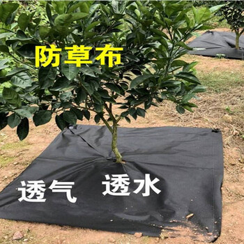 廣西編織防草布價(jià)格果蔬地里防草布廠家柑橘生態(tài)抑草地布
