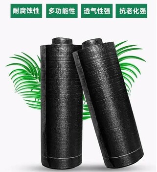上海防草布生產(chǎn)廠家果樹鋪除草地布很好農(nóng)用蓋草布廠家