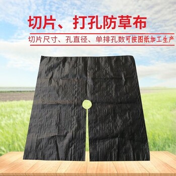 廣西編織防草布價(jià)格果蔬地里防草布廠家柑橘生態(tài)抑草地布