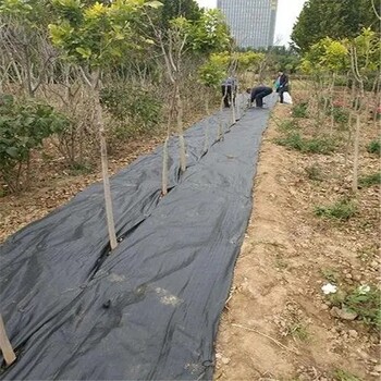 湖南80克防草布生產(chǎn)廠(chǎng)家林地覆蓋抑草遮草布多少錢(qián)一畝地