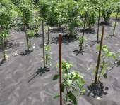 青海果树防草布厂家果树基地生态防草布黑色地膜的价格