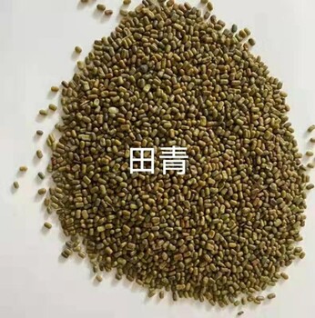 田青種子價格批發(fā)田青種子
