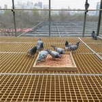 承德格柵洗車房地溝蓋板光伏檢修通道蓋板養殖漏糞網格板價格
