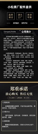 挖掘機(jī)PC1250-11空氣濾芯600-185-6100工廠直發(fā)質(zhì)量