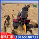 履帶沙漠壓草機05.jpg