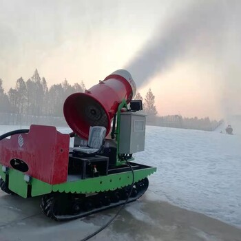 戶外造雪機大型滑雪場制雪機人工可移動國產(chǎn)造雪機噴雪機大型廠家