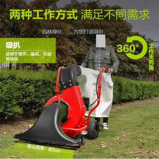 樹葉收集機(jī)城市環(huán)衛(wèi)馬路草坪吸樹葉機(jī)物業(yè)小區(qū)手推式樹葉清理機(jī)